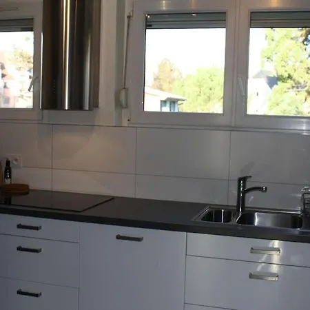 Apartment Superb Apt- Garden- 3 Parkings, Near Petite Venise ! Colmar