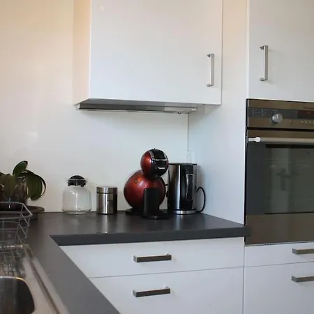 Apartment Superb Apt- Garden- 3 Parkings, Near Petite Venise ! Colmar