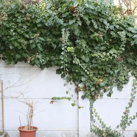 Superb Apt- Garden- 3 Parkings, Near Petite Venise ! *