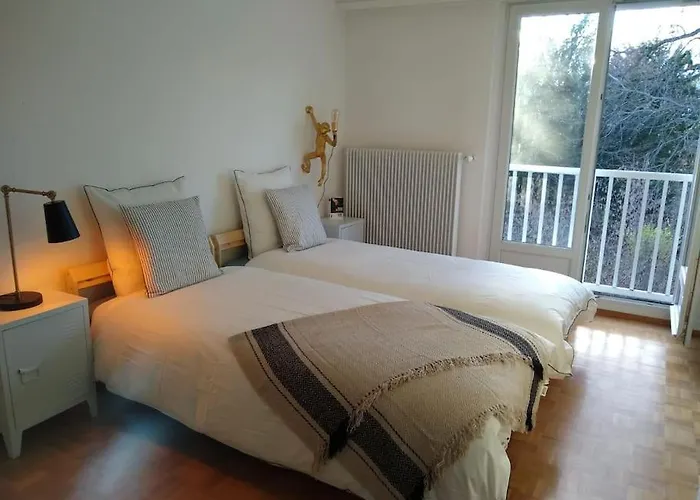 Superb Apt- Garden- 3 Parkings, Near Petite Venise ! Colmar