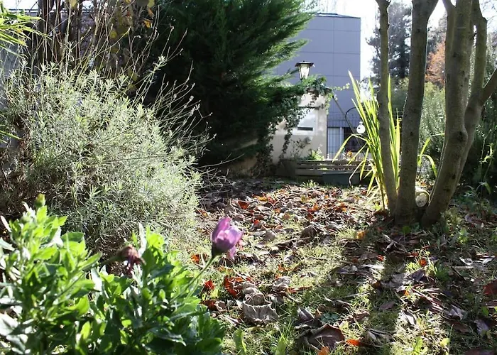 Superb Apt- Garden- 3 Parkings, Near Petite Venise ! Appartement Colmar