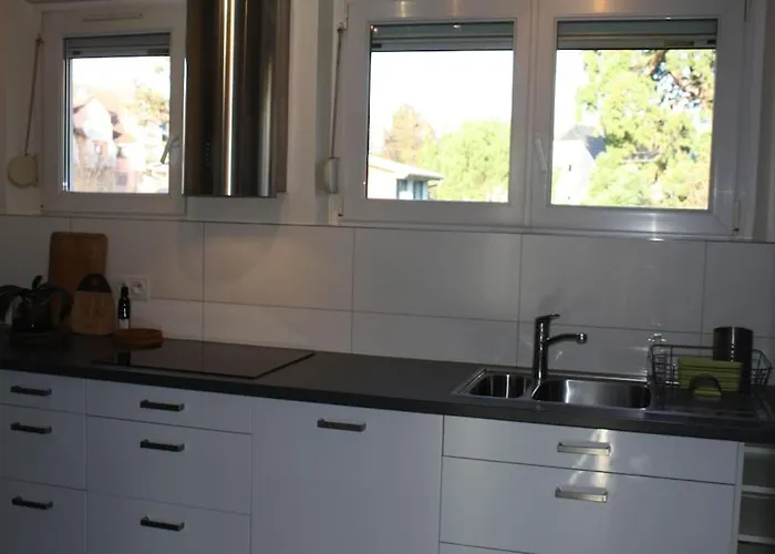 Apartment Superb Apt- Garden- 3 Parkings, Near Petite Venise ! Colmar
