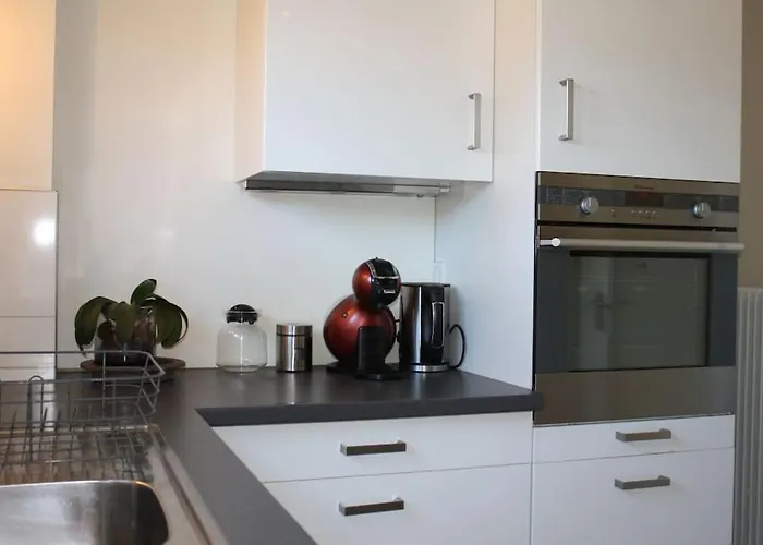 Apartment Superb Apt- Garden- 3 Parkings, Near Petite Venise ! Colmar