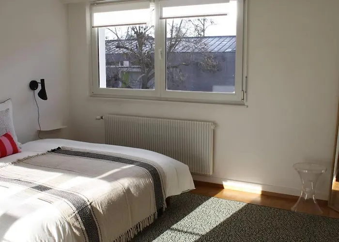 Superb Apt- Garden- 3 Parkings, Near Petite Venise ! Colmar